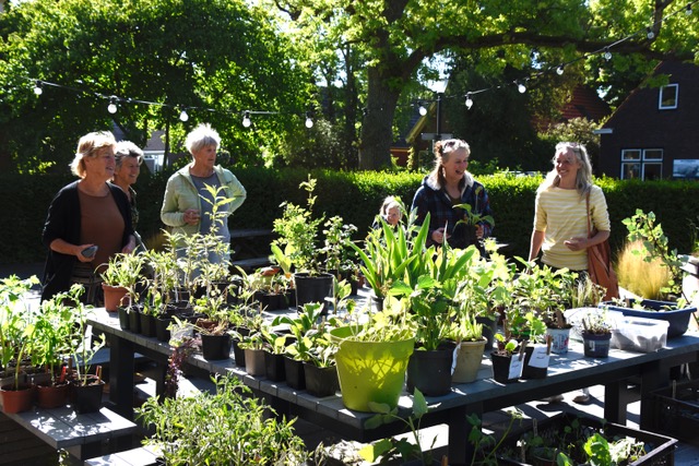 2025-10_plantenruilmarkt-mei 2025-10_plantenruilmarkt-mei